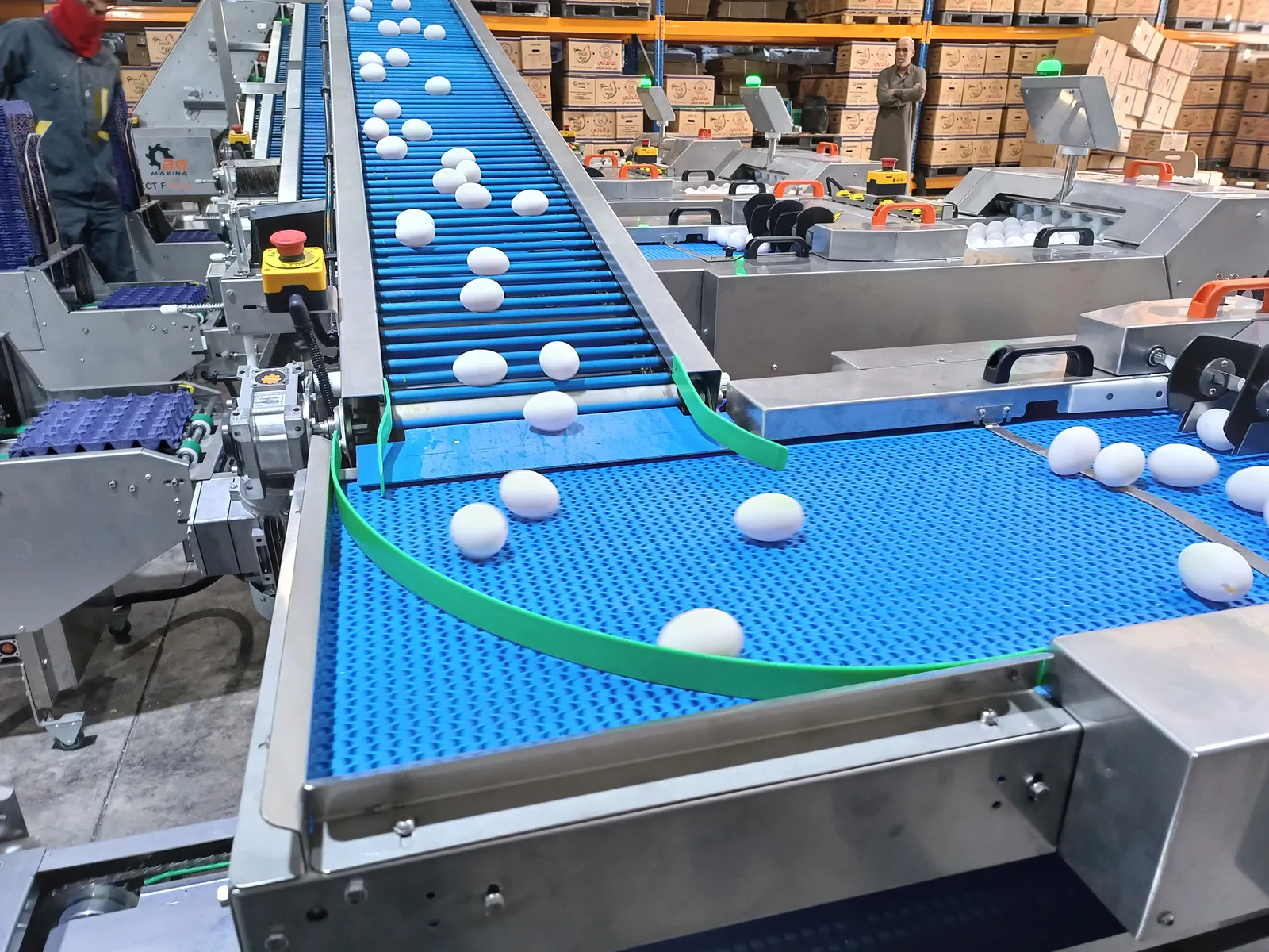 OvoSelect F Series — flow from weighing to packing