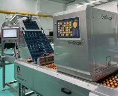 OvoScope AI — on the line