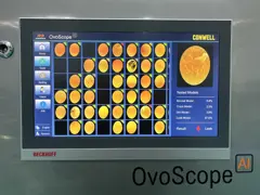 OvoScope AI — analysis screen