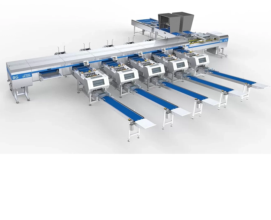 Automated Packaging Systems