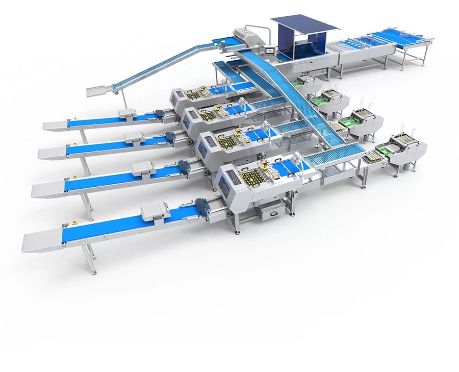 Manual and Automated Packaging Systems