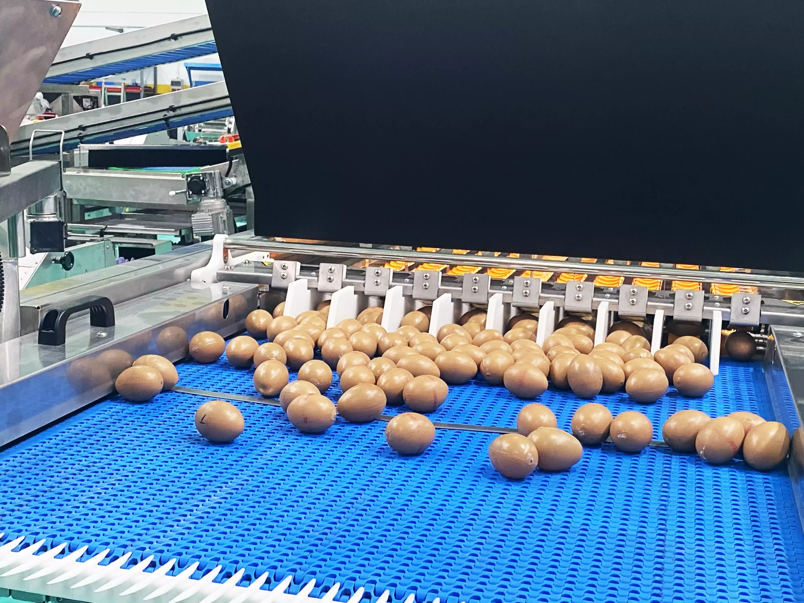 Egg Grading, Collection, and Coding Machines