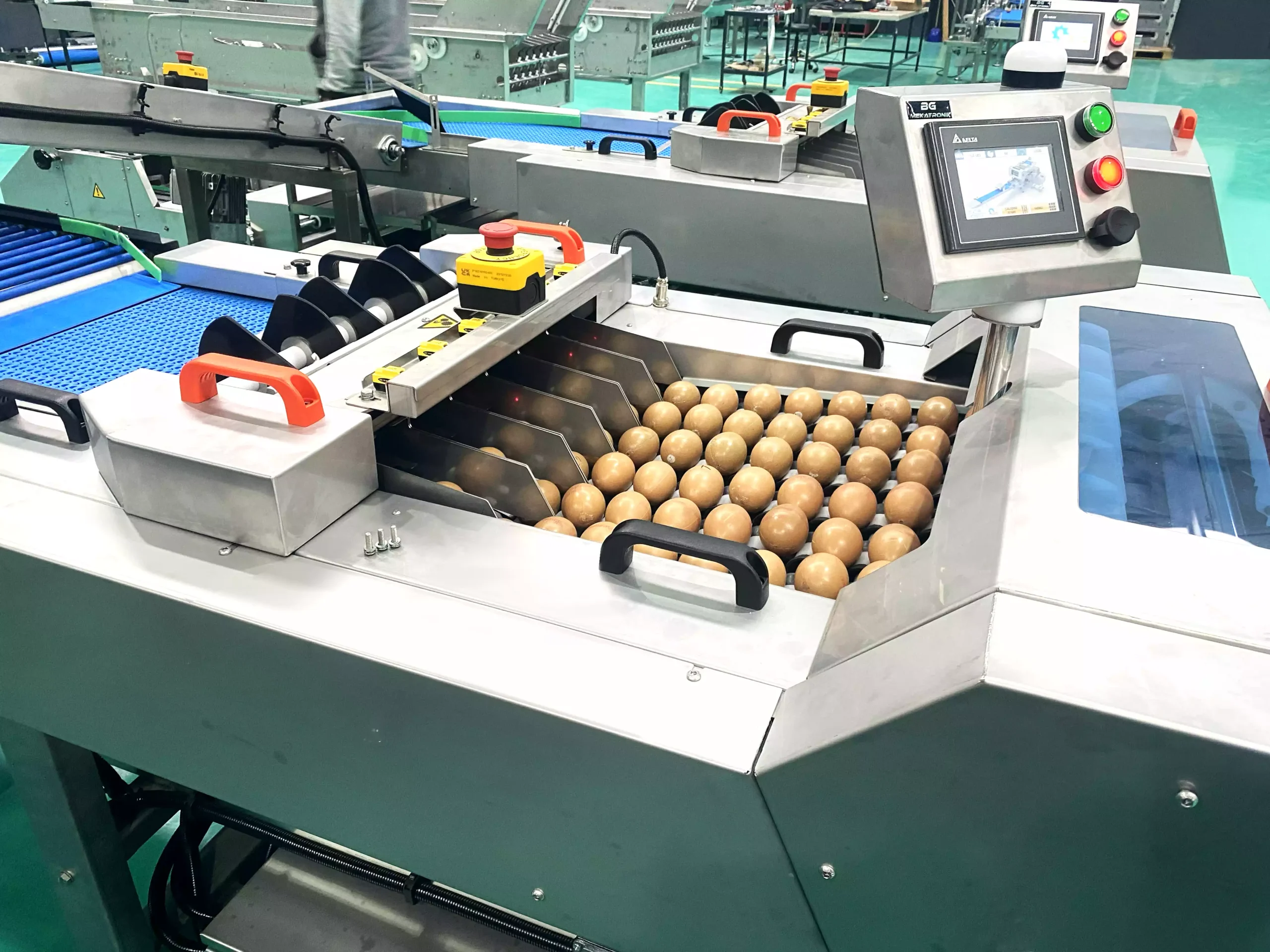 BG MACHINE for Egg Collection: Efficiency and Hygiene in One
