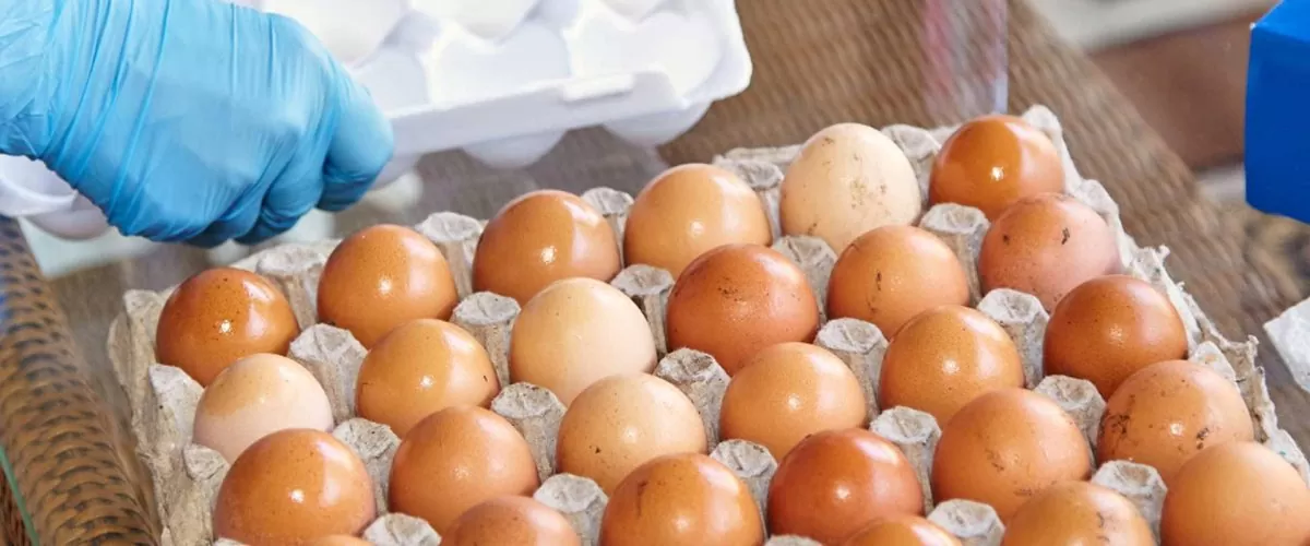 Traceability and Security with Egg Coding Machines